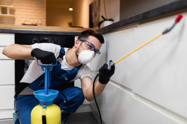 Best Mosquito Control Services  in Paloma Creek, TX
