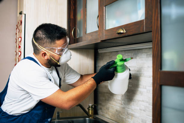 Best Exterminator Services  in Paloma Creek, TX