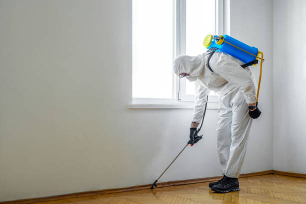 Best Emergency Pest Control  in Paloma Creek, TX